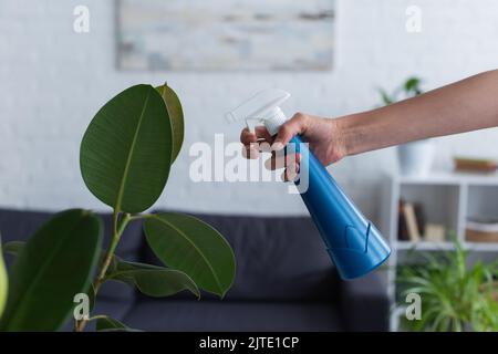 Vue rognée d'une femme tenant une bouteille vaporisée près d'une plante à la maison Banque D'Images