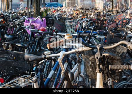 Copenhague, Danemark. 13 août 2022. Vélos garés sur le parking à vélos à l'extérieur de la gare centrale. Banque D'Images