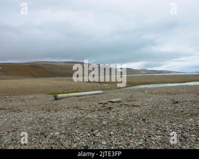 Palanderbukta est un fjord de Gustav Adolf Land à Nordastlandet, dans le Spitsbergen, une baie sud du Wahlenbergfjord. Habitat du désert arctique, Svalbard. Banque D'Images