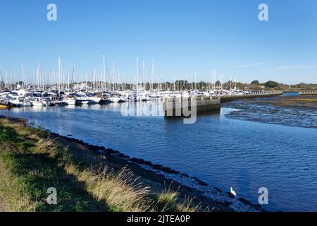 Vue sur Lymington Yacht Haven depuis la passerelle de Solent Way avec un peu d'aigrette dans une crique marécageuse en premier plan, Lymington, Hampshire, Royaume-Uni. Banque D'Images