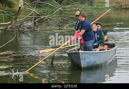 30 août 2022, Brandebourg, Brieskow-Finkenheerd: Dans une Péniche appartenant au maître pêcheur Robert Schneider (retour) sont Sabine Buder, directrice générale du Forum Natur Brandenburg, et deux scientifiques de la pêche, Daniel Hühn (avant) et Philipp Czaplala de l'Institut IGB Leibniz d'écologie des eaux douces et des pêches intérieures. Les individus utilisent la pêche par électropêche pour pêcher dans les eaux de la frontière germano-polonaise de la rivière Oder. La catastrophe environnementale sur la rivière Oder continue d'occuper de nombreux scientifiques. Actuellement, le personnel de l'IGB étudie les poissons vivants de la rivière Oder. Photo: Patr Banque D'Images