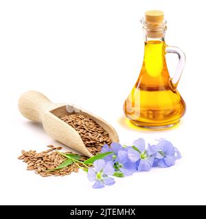 Fleurs de lin bleu et graines de lin brutes isolées sur fond blanc. L'huile de lin pressée fraîche dans un pot en verre est une source d'acides gras oméga-3. Banque D'Images