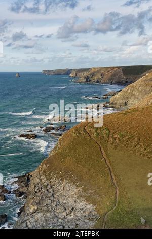 Section abrupte du sentier de la côte sud-ouest sur Jacket’s point, Tregragon, près de Delabole, Cornwall, Royaume-Uni, Septembre 2021. Banque D'Images
