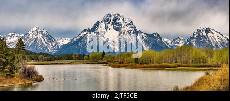 Teton Range, Mount Moran au centre, troupeau de canards à Oxbow Bend sur Snake River, nuages de tempête, parc national de Grand Teton, Wyoming, États-Unis Banque D'Images