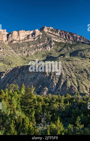 Elephant Head Rock (au centre), Sunlight Mesa, au-dessus de Shell Canyon, tôt le matin, Bighorn Mountains, Forêt nationale de Bighorn, Wyoming, États-Unis Banque D'Images