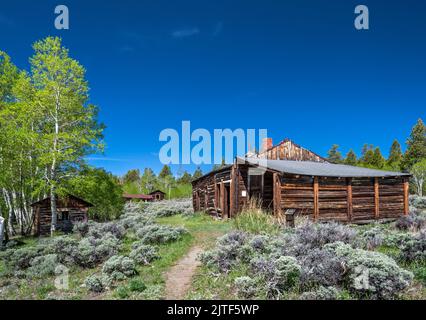 Bryant Cabin, Miners Delight aka Hamilton City Townsite, Wind River Range, Wyoming, États-Unis Banque D'Images