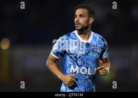 Côme, Italie, 29th août 2022. Cesc Fabregas de Côme pendant le match de la série B au Stadio Giuseppe Sinigaglia, Côme. Le crédit photo devrait se lire: Jonathan Moscrop / Sportimage Banque D'Images