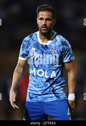 Côme, Italie, 29th août 2022. Cesc Fabregas de Côme pendant le match de la série B au Stadio Giuseppe Sinigaglia, Côme. Le crédit photo devrait se lire: Jonathan Moscrop / Sportimage Banque D'Images