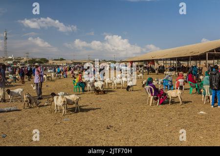 HARGEISA, SOMALILAND - 15 AVRIL 2019 : vue du marché du bétail à Hargeisa, capitale du Somaliland Banque D'Images