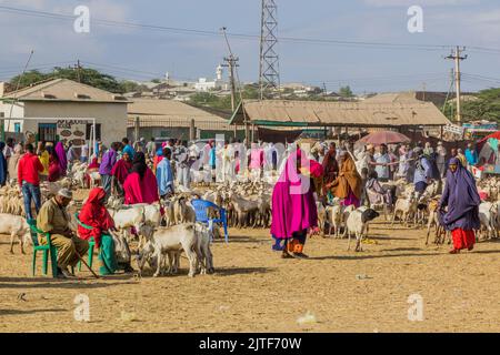 HARGEISA, SOMALILAND - 15 AVRIL 2019 : vue du marché du bétail à Hargeisa, capitale du Somaliland Banque D'Images