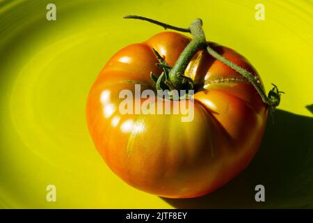 Il s'agit d'une photo macro d'un beefsteak tomate coloré de mon jardin. J'ai utilisé un éclairage spécial pour faire ressortir les couleurs et textures vives. Banque D'Images