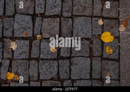 Feuilles jaunes sur le trottoir pavé de tuiles de pierre en automne. Banque D'Images