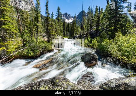 États-Unis, Idaho, Stanley, eaux floues de Rushing creek près de Sun Valley Banque D'Images