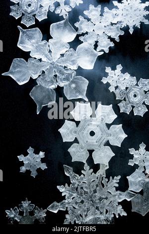 Close-up of snowflakes Banque D'Images