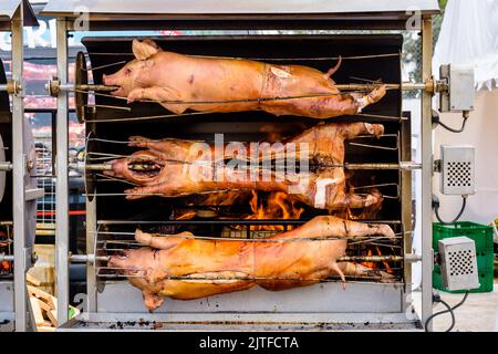 Vue avant de trois cochons rôtis sur une broche dans une rôtisserie. Banque D'Images