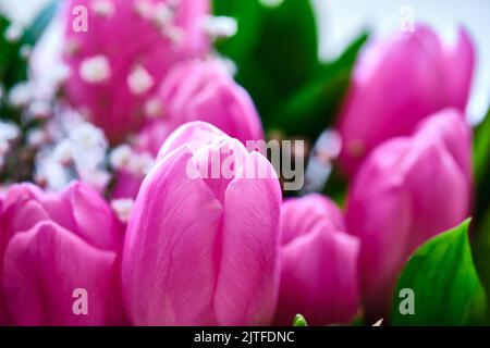 Bouquet de tulipes rose vif petit foyer Banque D'Images