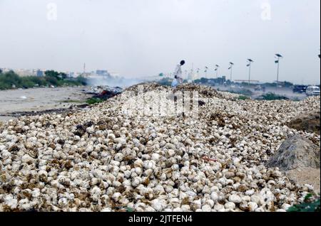 Karachi, Pakistan, 30 août 2022. Grande quantité de garlics humides qui ont été totalement endommagés lors des récentes pluies torrentielles, sec dans le soleil brûlant sous ciel ouvert au bord de la route pour la vendre à nouveau pour gagner leur vie, situé sur la route de la Super Highway près du marché des légumes à Karachi mardi, 30 août 2022. Banque D'Images