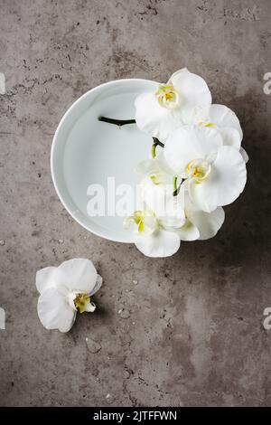 Fleurs d'orchidées blanches Phalaenopsis dans un bol d'eau sur fond de pierre, vue du dessus. Banque D'Images