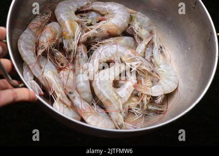 Crevettes entières fraîches dans un petit ustensile tenu à la main Banque D'Images