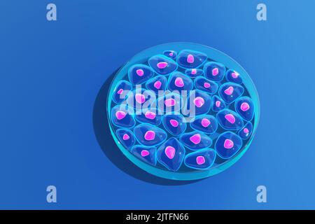 Cellules d'organismes poussant dans une boîte de Pétri en verre (boîte de culture cellulaire). Illustration du concept d'expérience biologique Banque D'Images
