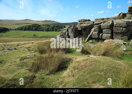 Winter tor on Belstone Common, Dartnoor, Devon, Angleterre, Royaume-Uni Banque D'Images