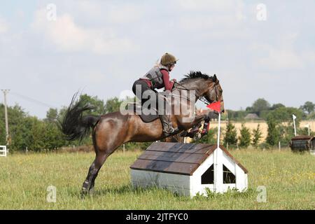 Cavalier sautant au-dessus d'une clôture de cross-country. Equestrian Banque D'Images