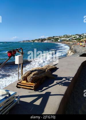 La magnifique baie de Citara avec sa plage suggestive dans la municipalité de Forio sur l'île d'Ischia (Italie, Naples, Campanie) (20) Banque D'Images