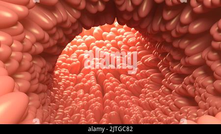 Villosités intestinales Intestin humain. 3d illustration. Banque D'Images
