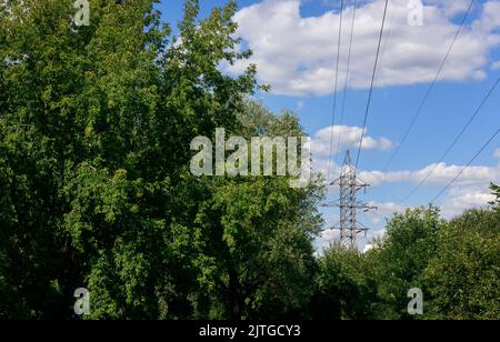Réseau électrique de poteaux sur ciel bleu et entouré de buissons et d'arbres verts Banque D'Images