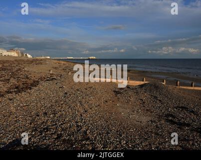 AJAXNETPHOTO. 2013. WORTHING, ANGLETERRE. - BATAILLE DES GROYNES - LES GROYNES EN BOIS SUR LA PLAGE AIDENT À PRÉVENIR L'ACTION DE LA MER SUR L'ÉROSION CÔTIÈRE. LE RIVAGE DE BARDEAUX DE STONY CHANGE DE FORME EN SUIVANT GALES.PHOTO:JONATHAN EASTLAND/AJAX REF:P78 132810 23 Banque D'Images