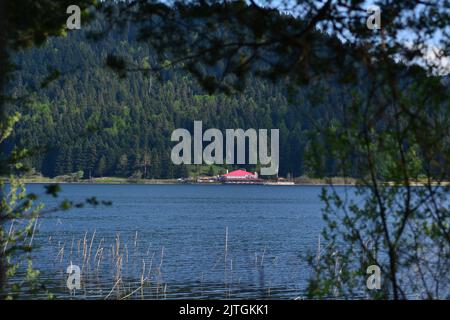 Roseaux et lac et chalet derrière une clôture en bois Banque D'Images