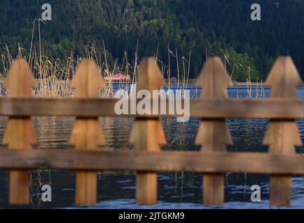 Roseaux et lac et chalet derrière une clôture en bois Banque D'Images