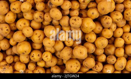 La pomme de terre créole sur le marché agricole - Solanum phureja Banque D'Images
