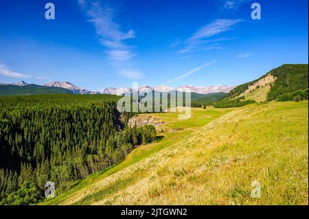 Vue sur Nash Meadow et la forêt boréale environnante dans les montagnes du parc provincial Bighorn Wildland en Alberta. Banque D'Images