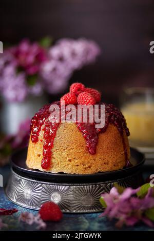 Un pudding en éponge à la vapeur recouvert de confiture de framboise aux graines et de fruits frais. Banque D'Images