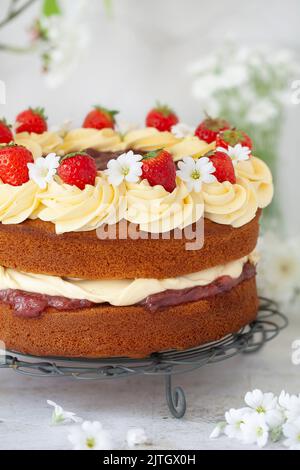 Un gâteau éponge rempli de crème et de crème, puis nappé de fraises et de fleurs blanches. Banque D'Images