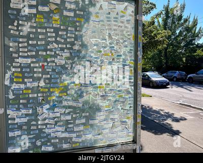 Seattle, États-Unis. 24 août 2022. Autocollants d'étiquettes de nom placés sur un abribus urbain à Seattle. Banque D'Images