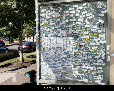Seattle, États-Unis. 24 août 2022. Autocollants d'étiquettes de nom placés sur un abribus urbain à Seattle. Banque D'Images