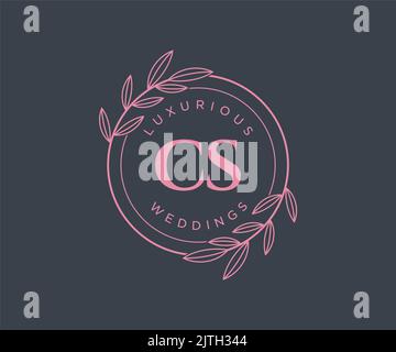 LETTRE initiales DE CS modèle de logos de monogramme de mariage, dessin à la main moderne minimaliste et modèles floraux pour cartes d'invitation, Enregistrer la date, élégant Illustration de Vecteur
