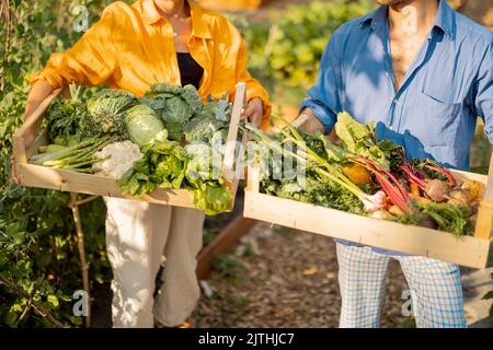Fermiers avec des légumes fraîchement cueillis dans le jardin Banque D'Images