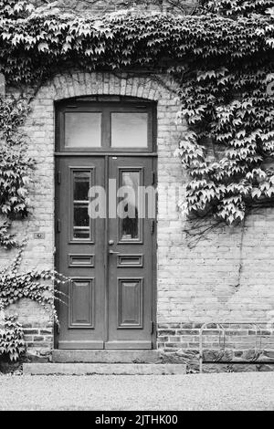 Une photo verticale en niveaux de gris d'une vieille porte décorée de plantes ivy Banque D'Images