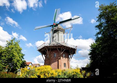 Papenburg, Allemagne. 30th août 2022. L'historique 'Meyers Mühle' se dresse par temps ensoleillé dans le parc de la ville dans le centre-ville. Credit: Hauke-Christian Dittrich/dpa/Alay Live News Banque D'Images