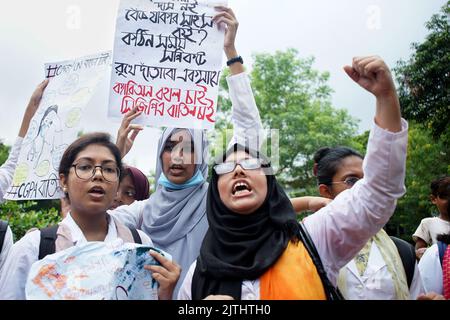 Sylhet, Sylhet, Bangladesh. 31st août 2022. Les étudiants de Sylhet M A G Osmani Medical College ont organisé une marche de protestation sur le campus de l'université exigeant le maintien et la fermeture de l'ACMG. (Image de crédit : © MD Akbar Ali/ZUMA Press Wire) Banque D'Images