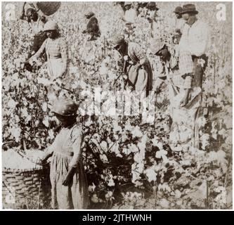 Des hommes, des femmes et des enfants autrefois réduits en esclavage, cueillant du coton dans une plantation de coton de Caroline du Sud, photographie de George L Cook, vers 1875 Banque D'Images