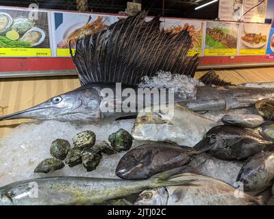 Poissons et autres fruits de mer à vendre dans un marché, Phuket, Thaïlande Banque D'Images