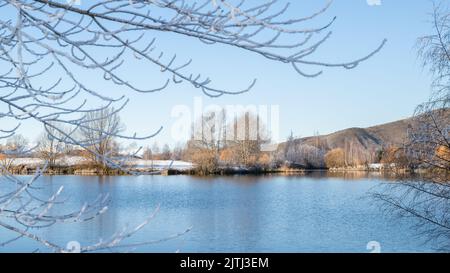 Bassin de Kellands encadré par des arbres avec givre sous un ciel bleu, Twizel, South Island. Banque D'Images