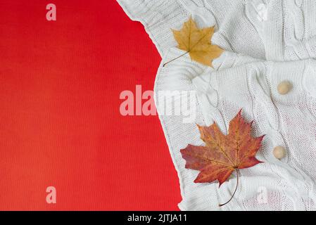 Concept d'automne. Les feuilles d'automne tombées se trouvent sur une couverture tricotée blanche sur un fond rouge avec un espace de copie Banque D'Images