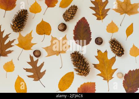 Feuilles d'automne tombées, situées les unes à côté des autres sur un fond beige. Copier l'espace Banque D'Images