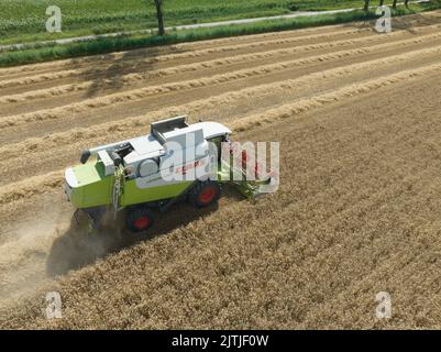 Meteren, 3th août 2022, pays-Bas. Claas machines agricoles allemandes. Moissonneuse-batteuse agricole exploitation agricole machines de récolte de grain dans Banque D'Images