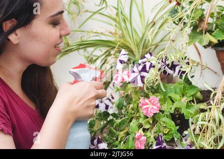 Une jeune femme s'occupe de son jardin, vaporisant de l'eau sur des pétunias de maison dans des pots à la maison Banque D'Images